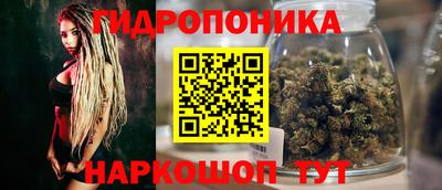 шишки Ставрополь