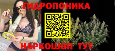 шишки Ставрополь