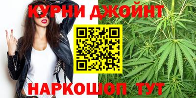 шишки Ставрополь