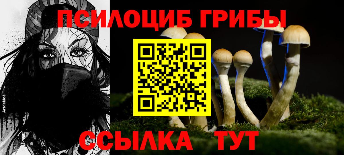 Орёл  Галлюциногенные грибы MAGIC MUSHROOMS  Вход с VPN 