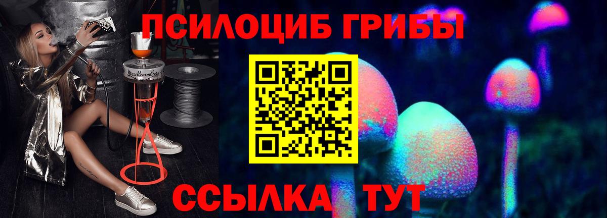 Псилоцибиновые грибы Psilocybe Орёл